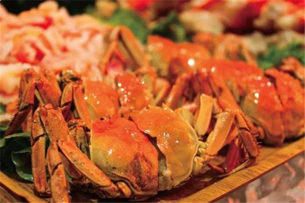 蛙兵蟹将鱼统帅